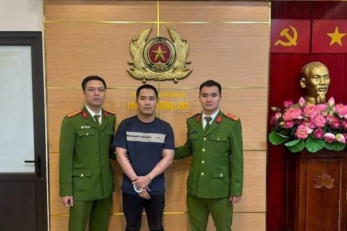Đối tượng truy nã về tội cố ý làm hư hỏng tài sản ra đầu thú