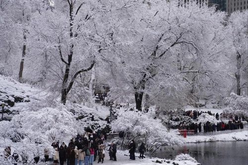 Hình ảnh tuyết rơi trắng xóa ở thành phố New York