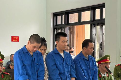 Giấu gần 1kg ma túy trong khối bê tông, 5 đối tượng lĩnh án