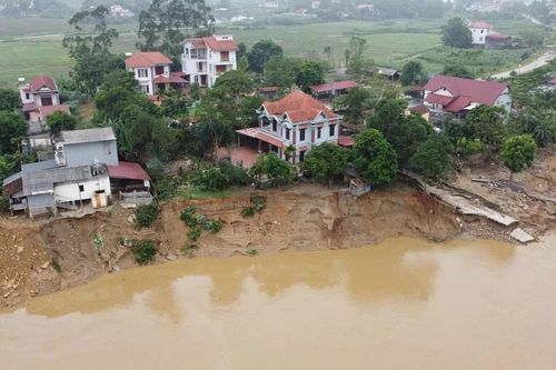 Lãnh đạo tỉnh Phú Thọ yêu cầu xử lý khẩn cấp sự cố sạt lở bờ sông Lô