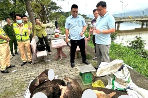 Phát hiện xe khách chở nhiều bao tải chứa thịt nghi động vật hoang dã