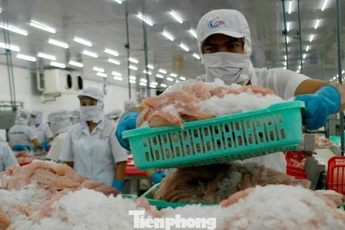 Doanh nghiệp nói về gỡ bỏ chính sách 'sáng đúng, trưa sai nhưng chiều lại đúng'