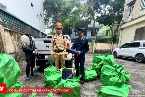 Quảng Ninh chặn liên tiếp hai xe chở khí cười số lượng lớn