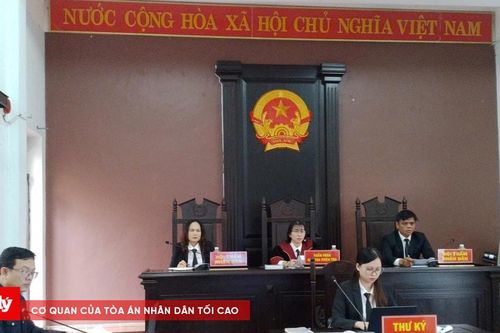 TAND khu vực 4 - Huế xét xử trực tuyến 4 vụ án ma túy