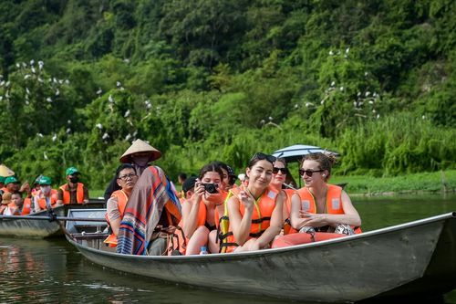 Mê hoặc khoảnh khắc hàng vạn chim hoang dã bay về tổ ở Ninh Bình