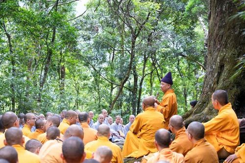 An yên giữa đời hiện đại: Phật giáo trong từng hơi thở cuộc sống