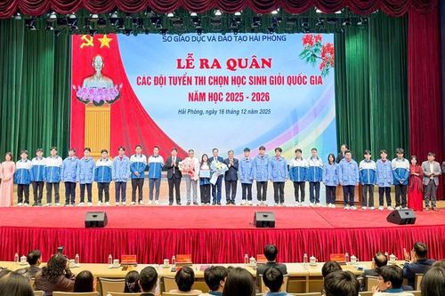242 học sinh Hải Phòng ra quân dự thi học sinh giỏi quốc gia năm học 2025–2026