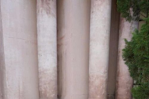 Ái nữ ca sĩ Mỹ Lệ: Đỗ 9 trường y châu Âu, chọn về Việt Nam học