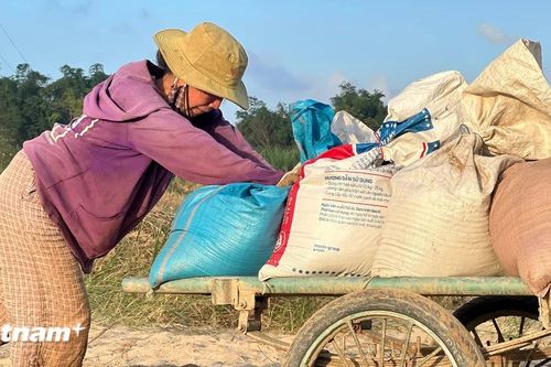 Đà Nẵng: Nông dân thẫn thờ nhìn cát phủ kín vụ mùa ở Gò Nổi