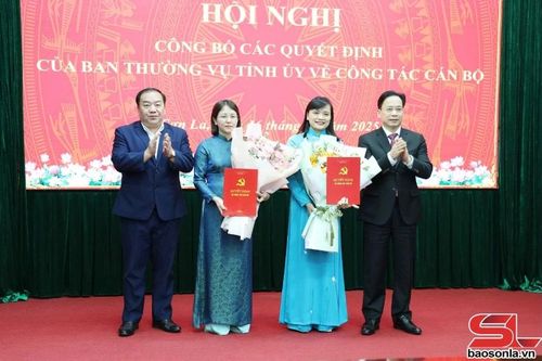 Tỉnh ủy Sơn La công bố các quyết định về công tác cán bộ