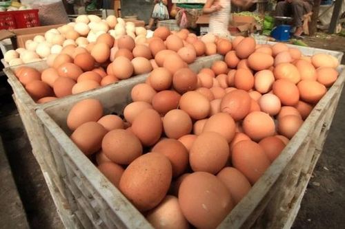 Hơn 10 người nhập viện nghi do ngộ độc trứng nhiễm khuẩn