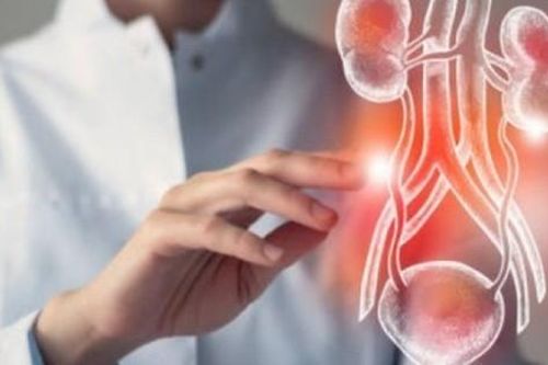 Những loại thực phẩm rất tốt nhưng ăn nhiều lại hủy hoại thận