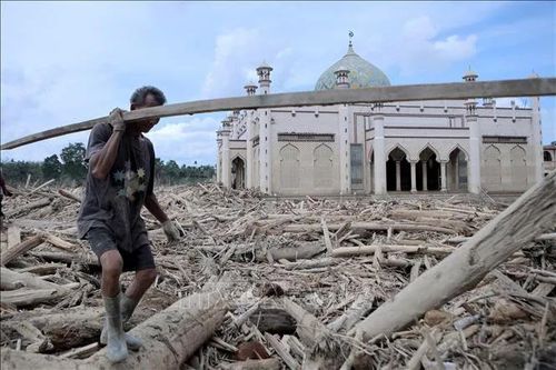 Indonesia thu hồi giấy phép 1 triệu ha rừng sau thảm họa lũ quét