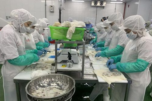 Tín hiệu vui trong đầu tư tín dụng ở giai đoạn 'nước rút'