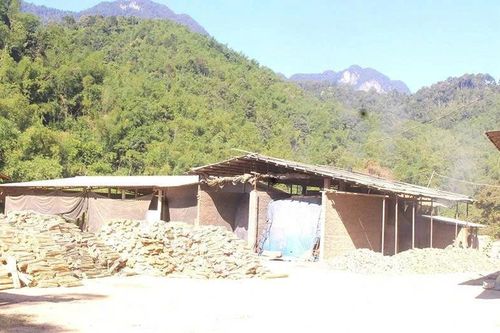 Bảo đảm môi trường trong chế biến lâm sản ở Sơn Điện