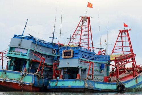 Ra biển cùng kiểm ngư