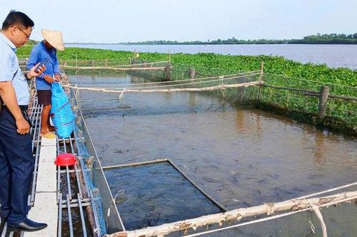Nâng cao thu nhập nhờ thủy sản