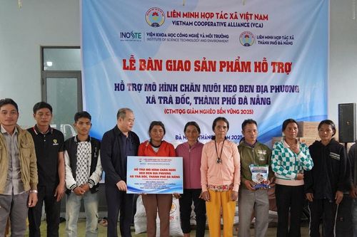 Mở hướng thoát nghèo từ mô hình nuôi heo đen địa phương