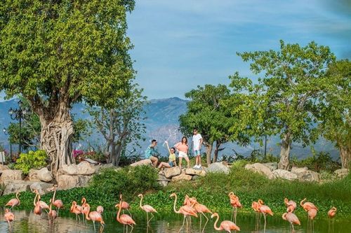 Vinpearl Nha Trang: Khám phá tổ hợp nghỉ dưỡng và giải trí hàng đầu