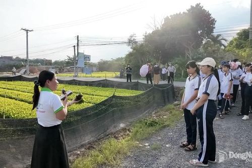 Bồi đắp tình yêu quê hương qua Ngữ văn địa phương