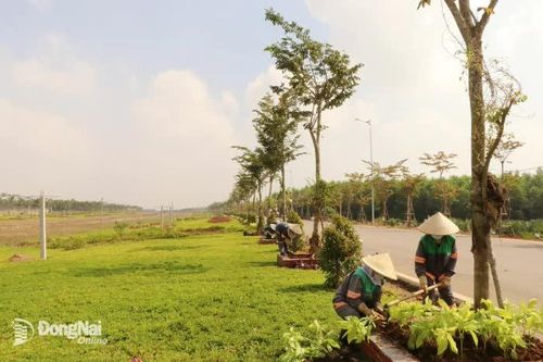Kết quả quan trắc không khí ở Đồng Nai: Ô nhiễm bụi giảm