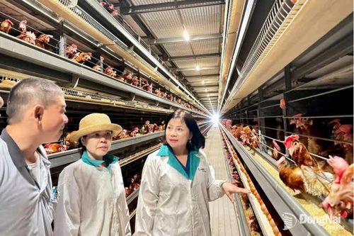 Tăng cường quản lý an toàn thực phẩm dịp cuối năm