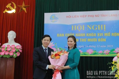 Bà Lê Ngọc Thùy giữ chức Phó Chủ tịch Hội Liên hiệp Phụ nữ tỉnh