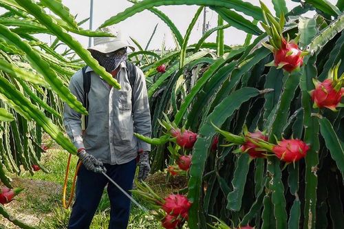 Hàm Kiệm giảm nghèo đa chiều từ chính sách hỗ trợ và khơi dậy nội lực