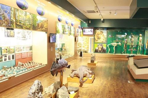 Bảo tàng Thiên nhiên Việt Nam: Hành trình miễn phí khám phá lịch sử 3,6 tỷ năm