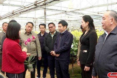Đoàn đại biểu Mặt trận Lào xây dựng đất nước tỉnh Hủa Phăn và Luông Pha Bang thăm các mô hình kinh tế và du lịch tại Mộc Châu
