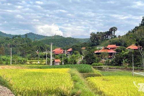Khuân Bang 'thức giấc' giữa đại ngàn