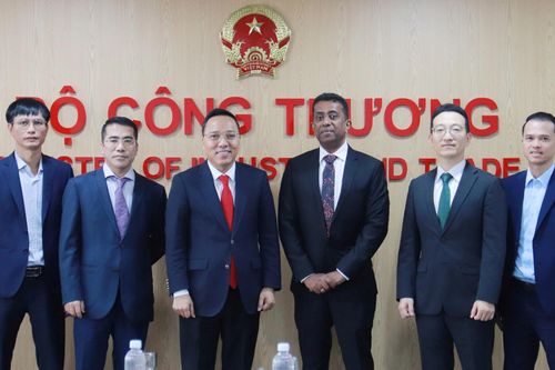 Việt Nam trở thành thành viên của Cơ quan Năng lượng tái tạo Quốc tế (IRENA)