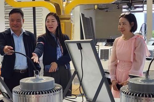Công ty cổ phần Tân Thành Long Việt Nam tiên phong kiến tạo hệ sinh thái chiếu sáng xanh