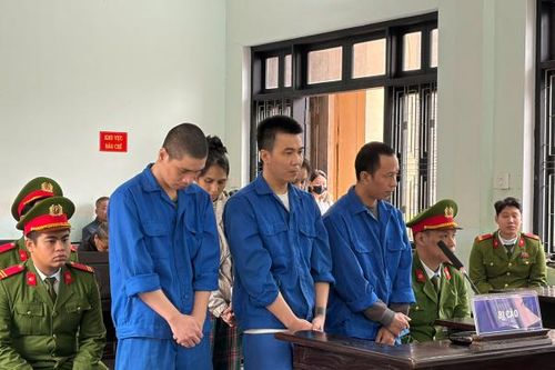 Giấu ma túy trong khối bê tông rồi vận chuyển bằng xe khách, 5 bị cáo lãnh án