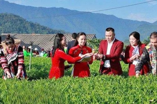 Bắt đầu chuỗi hoạt động trải nghiệm văn hóa Lễ hội 'Thái Nguyên - Hương sắc danh trà' 2025