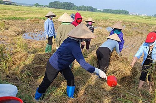 Lan tỏa những mô hình sáng tạo, bền vững của phụ nữ