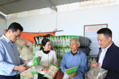 Lào Cai: Nhìn thẳng vào khó khăn, thiếu sót để nâng tầm sản phẩm OCOP