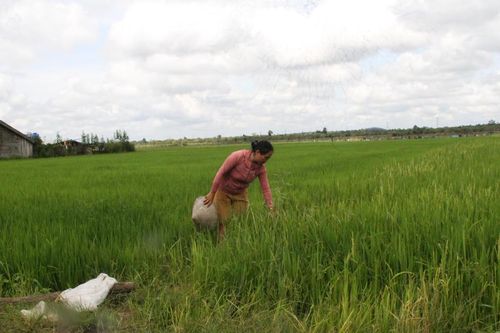 Xã Ea Rốk (Đắk Lắk): Từ 'điểm nóng' thành 'điểm sáng' trong phòng chống tảo hôn