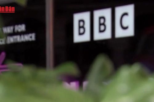 BBC tuyên bố theo đuổi vụ kiện phỉ báng do Tổng thống Mỹ khởi xướng
