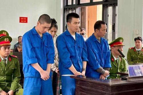 Đúc bê-tông bằng… ma túy