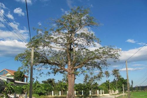 Những con đường nhân duyên