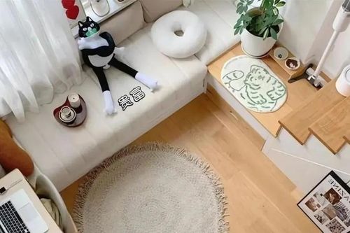 Bên trong căn hộ 14m² tiện nghi, có tới 2 phòng khách