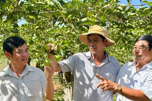 Đòn bẩy sinh kế giúp người dân Lương Sơn vươn lên khá giả
