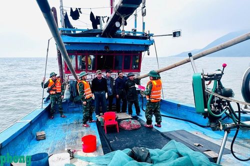Hà Tĩnh: Nhiều tàu cá ngoại tỉnh bị bắt giữ vì đánh bắt hải sản sai tuyến
