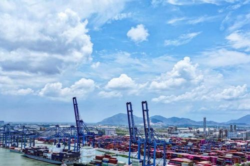 TP HCM xúc tiến triển khai Khu thương mại tự do Cái Mép Hạ