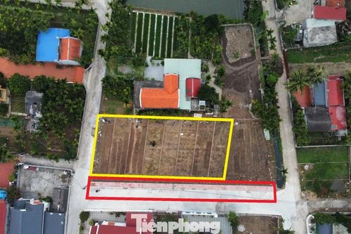 Hải Phòng: Tự lấp ruộng, mở đường để phân lô bán đất