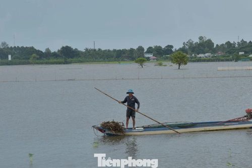 Đồng bằng sông Cửu Long trước câu hỏi: Ở lại hay di cư?