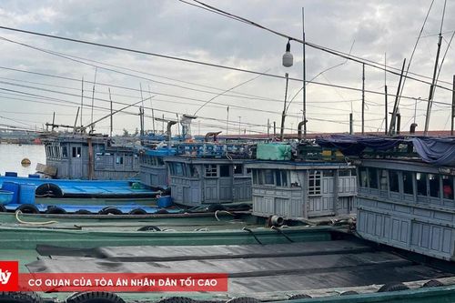 Ngư dân Huế khốn khó vì hồ sơ hỗ trợ nhiên liệu bị 'treo' do án nhận hối lộ