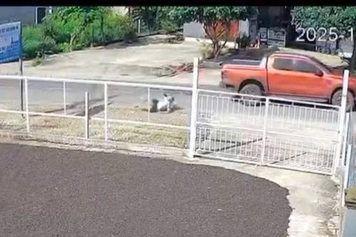 Xác minh clip ô tô bán tải tông người rồi rời khỏi hiện trường