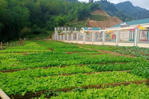 Vùng biên Na Mèo vươn lên xây dựng Nông thôn mới